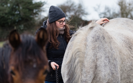 Do non ridden horses need bodywork